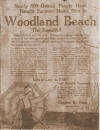 advertisment.jpg (58575 bytes)